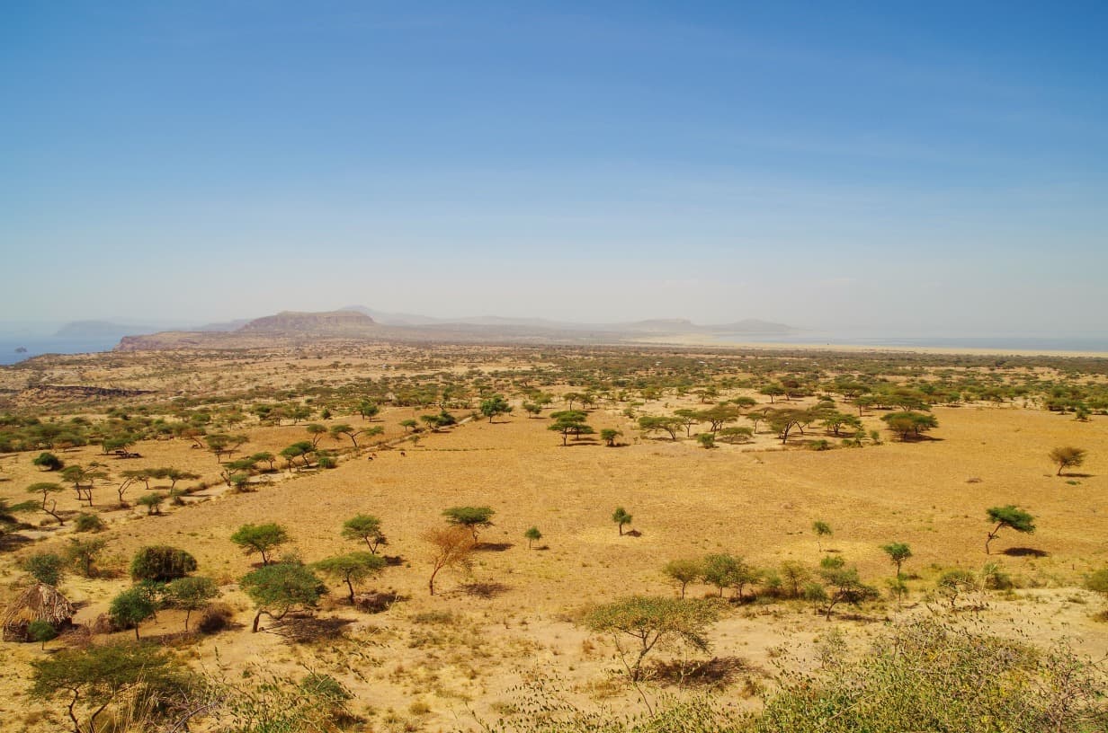 Parc national d'Abijatta-Shalla