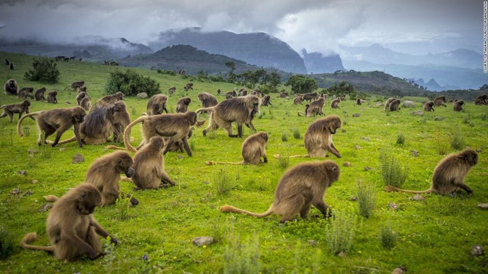 Trek et randonnée dans le parc national du Simien